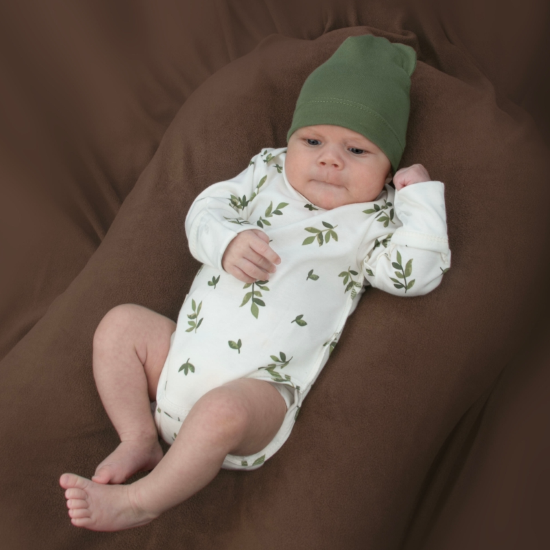 Комплект 3 предмета "Лимончики-3", листочки